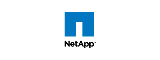 NetApp Data Recovery